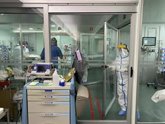 Foto: Estudio data en más de un siglo la capacidad de adaptación de la bacteria 'Enterococcus faecalis' a medio hospitalario