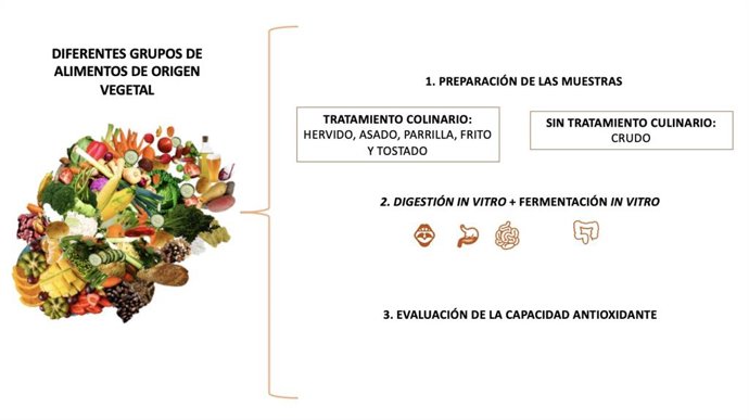 Nota: Investigación Capacidad Antioxidante De Los Alimentos