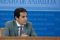 PP-A no ve motivos para adelanto electoral en Andalucía y considera que Vox está instalado en su "interés particular"