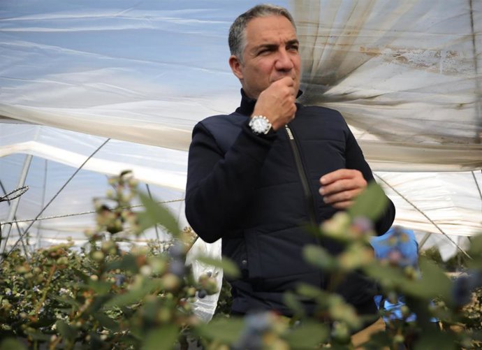 El consejero de Presidencia, Elías Bendodo, en una finca fresera de Lucena del Puerto (Huelva).