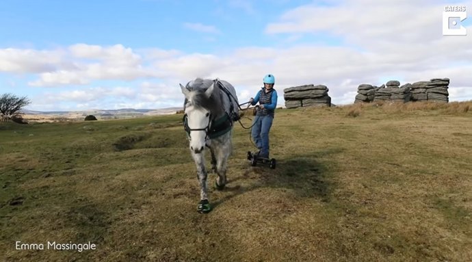 Este caballo arrastra a su dueña en monopatín y en una lancha neumática