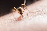 Foto: El cambio climático influye en la transmisión de la malaria en África, según ISGlobal