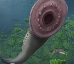 Reconstrucción del artista que muestra las etapas de la vida de la lamprea fósil Priscomyzon riniensis. Vivió hace unos 360 millones de años en una laguna costera en lo que hoy es Sudáfrica.