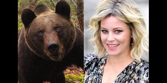1. Elizabeth Banks dirigirá 'Cocaine Bear': La historia real de un oso que murió por sobredosis de cocaína