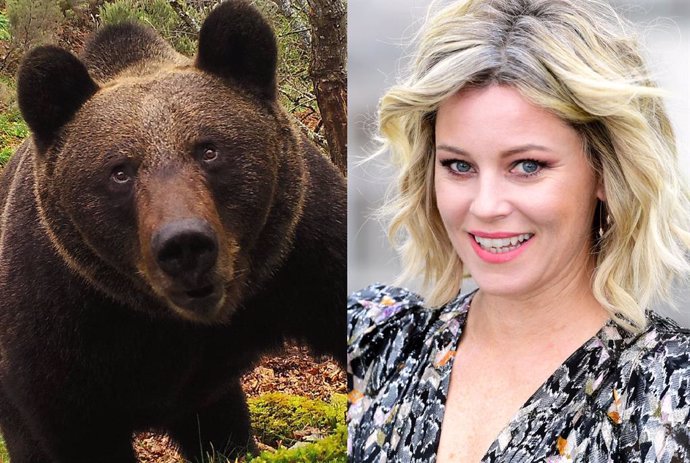 Elizabeth Banks dirigirá 'Cocaine Bear': La historia real de un oso que murió por sobredosis de cocaína