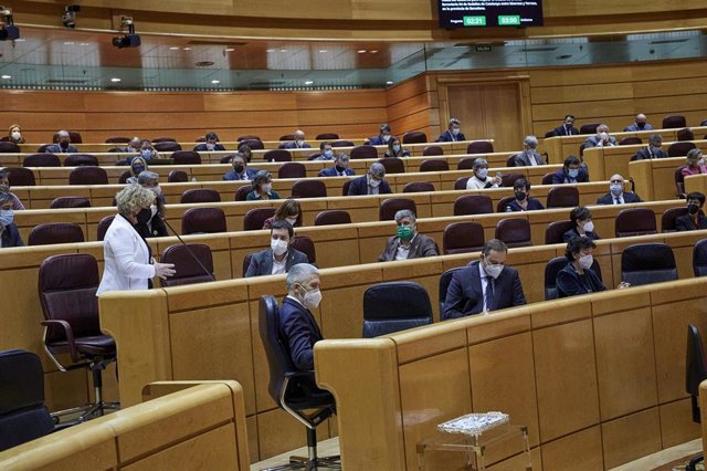 Archivo - Vista general durante una sesión de control al Gobierno en el Senado, en Madrid (España), a 2 de febrero de 2021