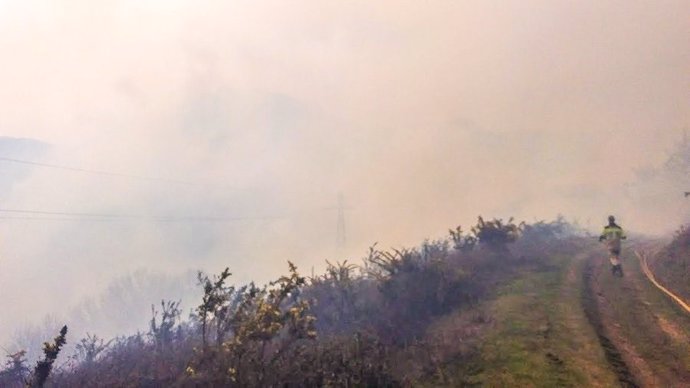 Incendio forestal en el término municipal de Irun (Gipuzkoa)