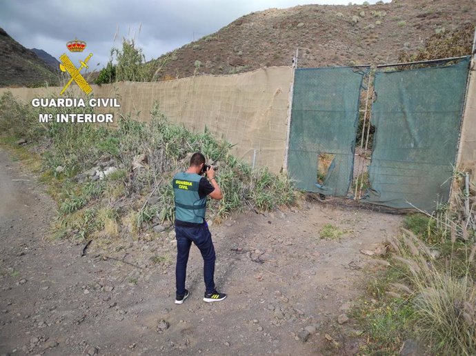 La Guardia Civil procede a la detención de dos hombres y una mujer por el robo de más de 5.000 kilos de mangas y aguacates