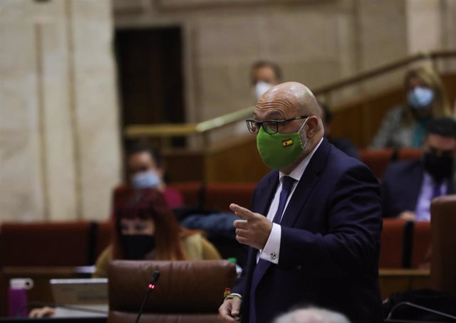 Alejandro Hernández, este jueves en el Parlamento