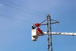 Endesa invertirá 4,6 millones en adaptar apoyos de líneas eléctricas y proteger la avifauna