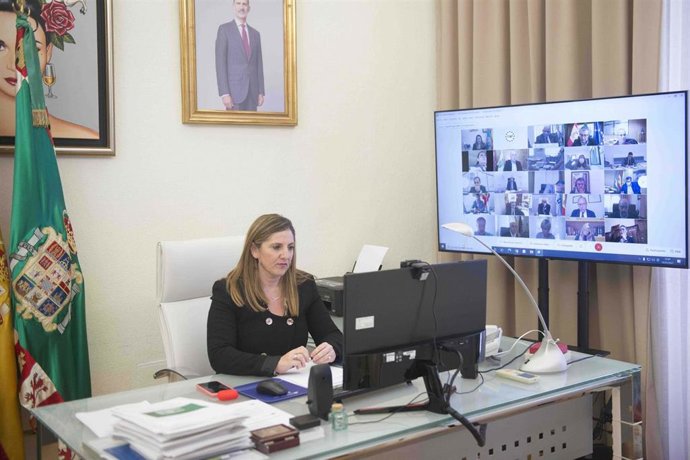 Irene García participando en la comisión de la FEMP