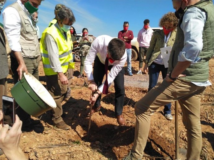 Plantación de especies autóctonas para la reforestación en una zona incendiada.