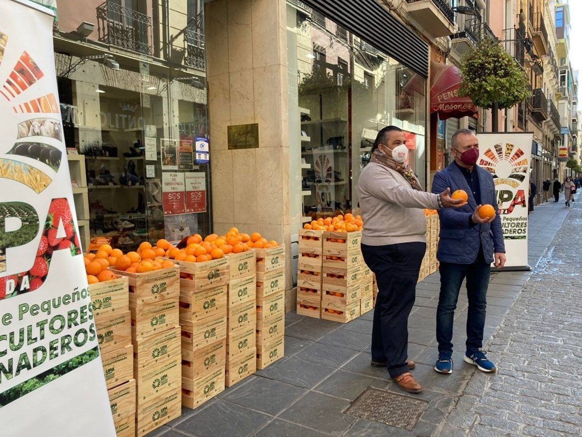 Agricultores reparten cajas de naranjas entre 200 comercios de Granada para denunciar los bajos Agricultores reparten cajas de naranjas entre 200 comercios de Granada para denunciar los bajos