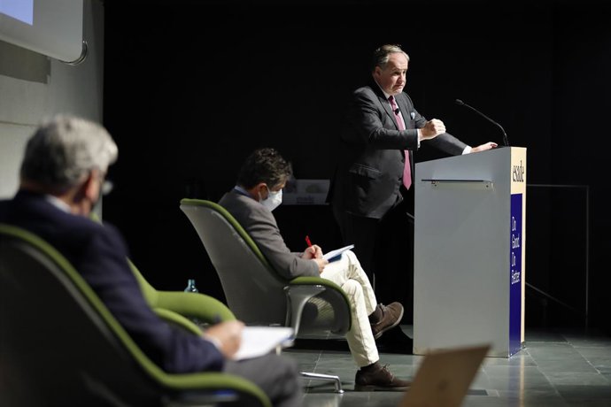 El presidente ejecutivo de Damm, Demetrio Carceller Arce, durante la sesión.