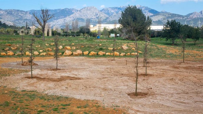 Jardín de la Memoria en la UIB.