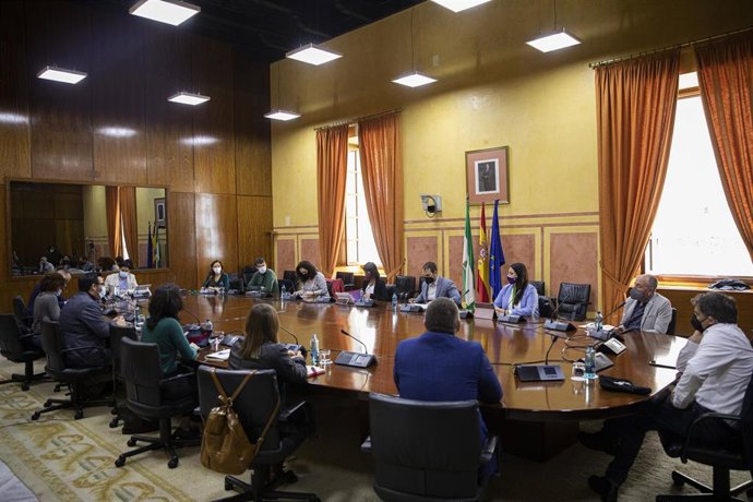 El coordinador general de IU Andalucía, Toni Valero (i), y la secretaria general de Podemos Andalucía, Martina Velarde (d), durante un encuentro con los cargos públicos de Unidas Podemos por Andalucía en el Parlamento andaluz y el Congreso de los Diputa