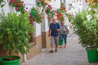 Salado critica el "desprecio e insulto" del Gobierno a la Costa del Sol con las ayudas directas al turismo