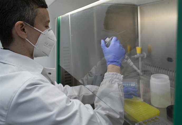 La soldado Ester Sánchez Oca trabaja en el laboratorio durante una entrevista para Europa Press,