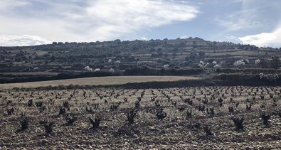 La Rioja