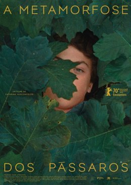 Cartel de 'A metamorfose dos pássaros'