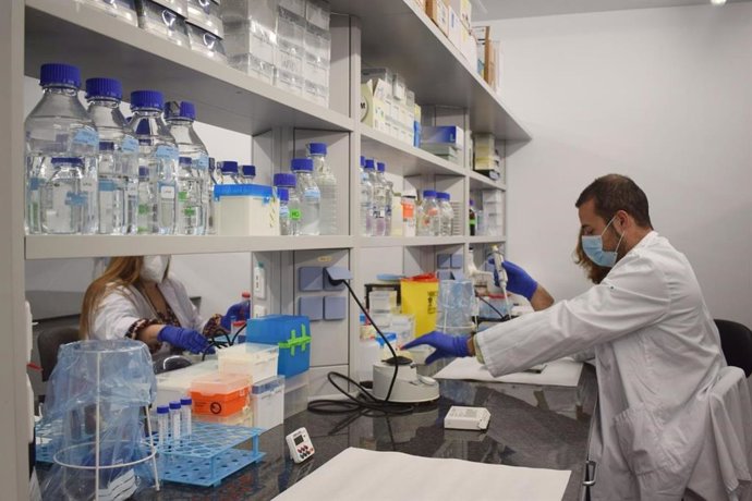 Investigadores del IdISBa trabajando en el laboratorio.