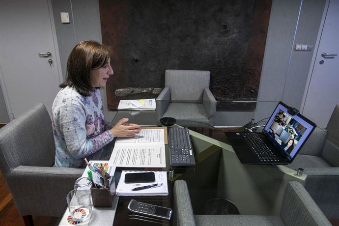 Archivo - Fotos Xunta /Medio Ambiente /Videoconferencia Administradores De Fincas E Colexio De Axentes Da Propiedade Inmobiliaria.