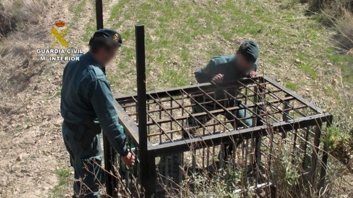La Guardia Civil detuvo o investigó el año pasado a 337 personas por delitos contra la biodiversidad