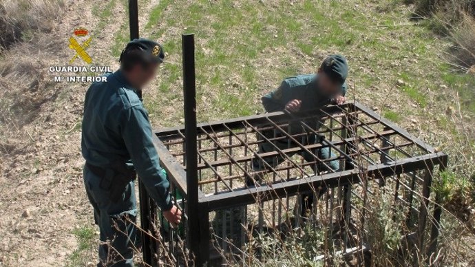 La Guardia Civil detuvo o investigó el año pasado a 337 personas por delitos contra la biodiversidad