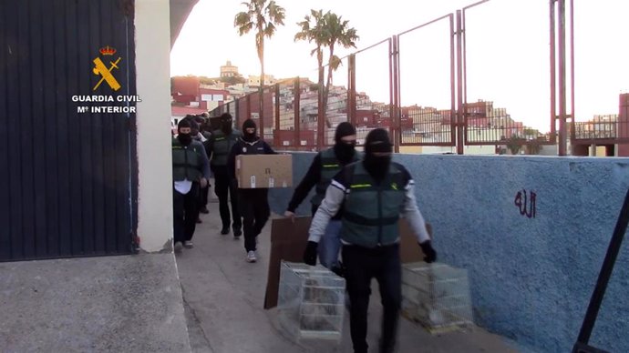 Recuperan las aves rapaces robadas en un centro de Melilla usando sonidos digitales para descubrir donde estaban ocultas.