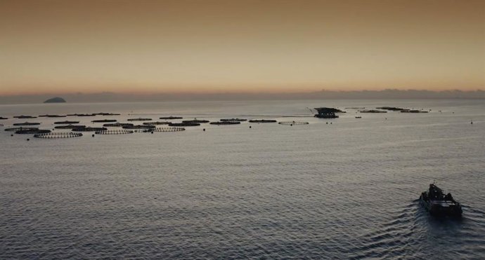 Acuicultura de España