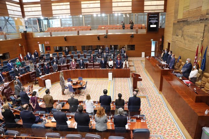 Vista general del pleno de la Asamblea de Madrid durante un minuto de silencio antes de comenzar su debate, en Madrid (España), a 18 de febrero de 2021.