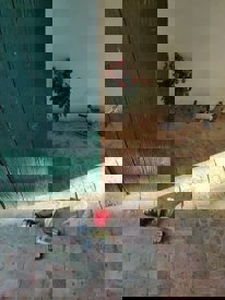 Destrozos en el cementerio de Sant Antoni