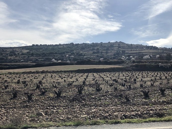 Aldealobos donde se va a instalar un parque eólico