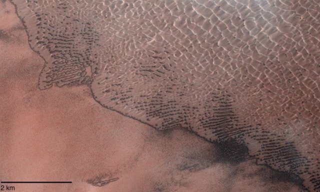 Campo de dunas en el cráter Lomonosov de Marte