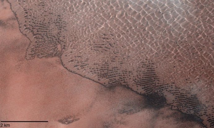 Campo de dunas en el cráter Lomonosov de Marte