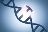 Foto: Breve manual sobre terapias genéticas: ¿hasta qué punto podemos modificar nuestro ADN para curar enfermedades?