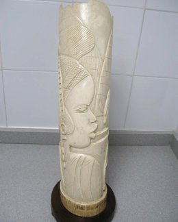 Colmillo de elefante decorado intervenido en Valladolid.