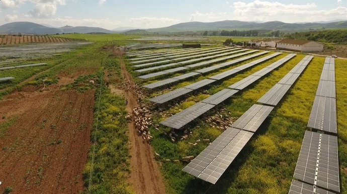 El sector primario comparte el uso del suelo en la planta fotovoltaica de Endesa en Teba