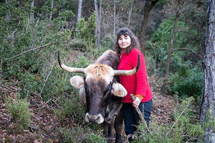 Una ganadera de vacas de Sant Salvador de Guardiola (Barcelona)