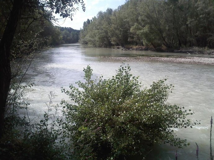 Archivo - El río Gállego pertenece a la Cuenca Hidrográfica del Ebro.