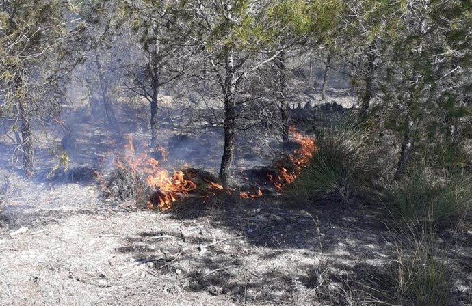 Incendio forestal en Castilléjar