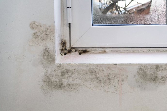 Humedad en una vivienda ceerca de una ventana.