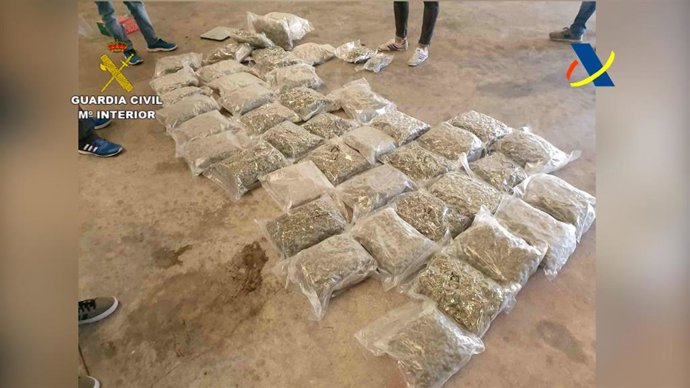 Marihuana localizada en la operación 'Nelumbo'