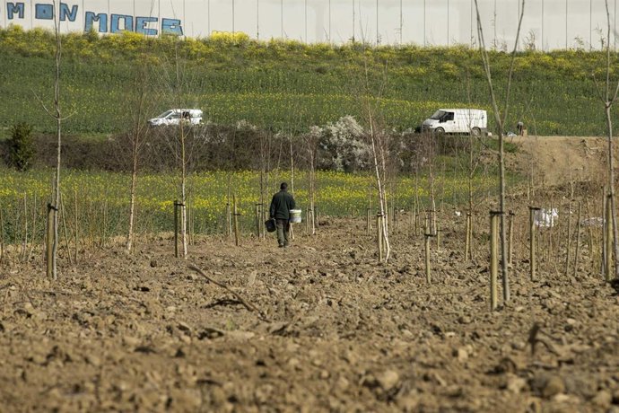El Ayuntamiento de Pamplona restaura una parcela municipal en Etxabakoitz