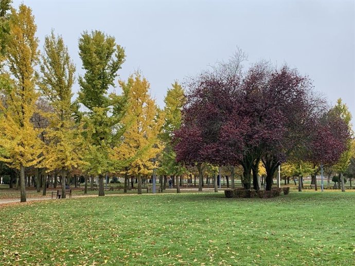 El Parque de La Granja al que el Ayuntamiento de León presentará a los Green Flag Awards 2021/2022.