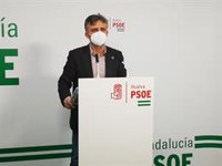 PSOE-A critica que Moreno "pretende colonizar la Cámara de Cuentas para manipularla a su antojo"