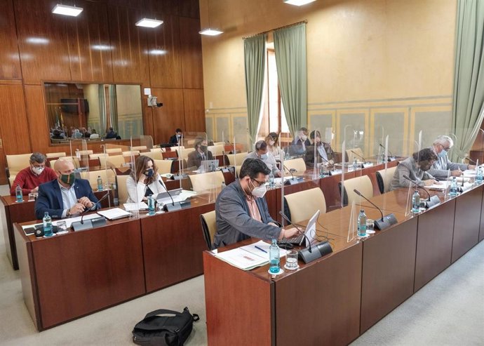 La comisión parlamentaria de Hacienda.