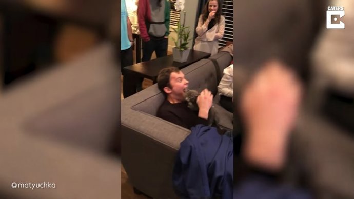 La reacción de este chico al recibir un gato por sorpresa el día de su cumpleaños conquista TikTok