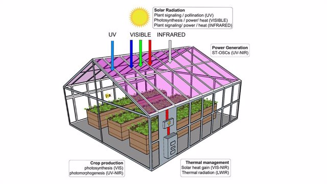 Invernadero fabircado con paneles de células solares