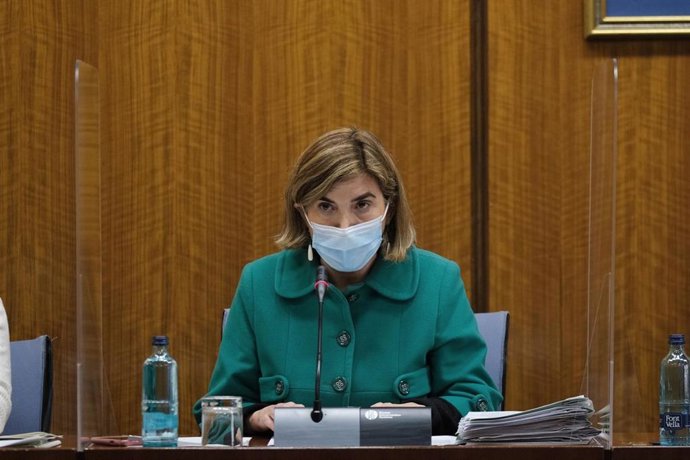 La consejera de Empleo, Formación y Trabajo Autónomo, Rocío Blanco, en comisión parlamentaria.